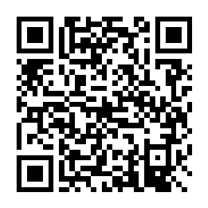 扫码下载启慧记账 App